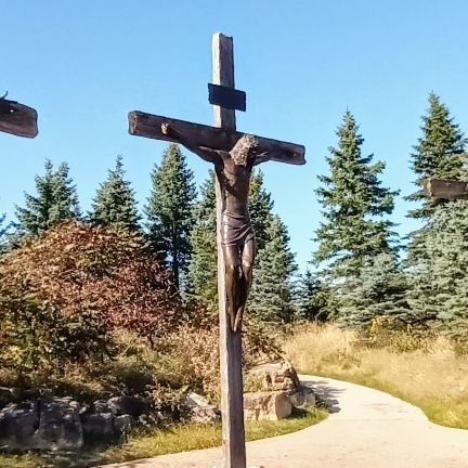 Cordova0927's profile picture. 