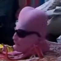 Peppa Pygmalion (@peppapygmalion) 's Twitter Profile