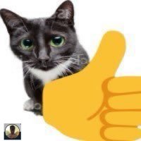 imactuallykools (@imactuallykoo1s) 's Twitter Profile Photo imactuallykools (@imactuallykoo1s) 's Twitter Profile Photo