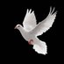 Sabwenge (@sabwenges) Twitter profile photo Sabwenge (@sabwenges) Twitter profile photo