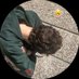 karlo (@idkignoremyuser) Twitter profile photo karlo (@idkignoremyuser) Twitter profile photo