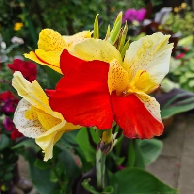 tabiatsever_'s profile picture. Doğa bir sanat yapıtı olarak görüldüğü zaman güzeldir. Kant