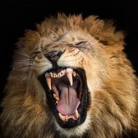 Mary Marzano (@marymarzano13) 's Twitter Profile Photo Mary Marzano (@marymarzano13) 's Twitter Profile Photo