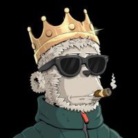 damchunkin1's profile picture. Crypto & NFT