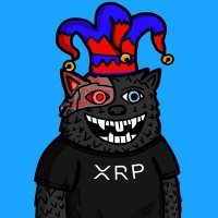 CryptoRori🔝 (@cryptorori) 's Twitter Profile