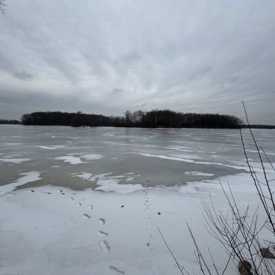 srikadimi's profile picture. 