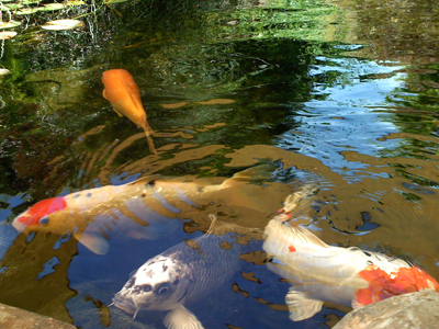 JPSheldon's profile picture. 