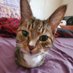 meow (@lilisfanpage1) Twitter profile photo meow (@lilisfanpage1) Twitter profile photo