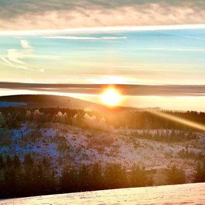 If you truly love nature, you will find beauty everywhere📸| Look deeply into nature and you will understand everything better.📍GER🇩🇪 No AI / KI ! 🌲
