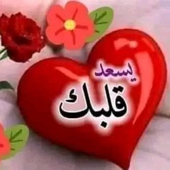MaeinnasrM's profile picture. تذكر دائمًا، إذا نشرت شيئا دون موافقتك أو أردت حذفه، راسلني مباشرة، وسأحذفه لا تُبلغ عني شكرا لك على هذا.