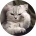 Hanen Hemdan (@hanen_hemdan) Twitter profile photo Hanen Hemdan (@hanen_hemdan) Twitter profile photo
