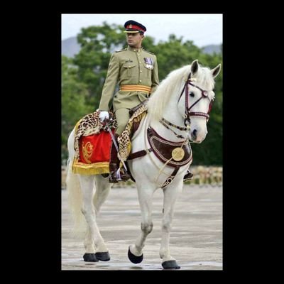 Human rights activities
پنجاب کے شیر 🦁 💪
@lionofpunjab159999
tiktok