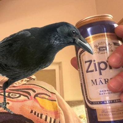 StRadebachAlki's profile picture. 51 Verwitwet mit 2 Söhnen
Brezelverkäufer der bloss ein Bierchen trinken will mit der Liebe seines Lebens
