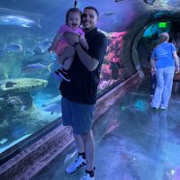 Matt Watson (@chscoachwat) 's Twitter Profile