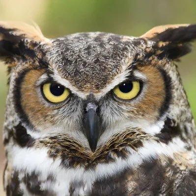 wiiinterlashell's profile picture. 💎 VIP Vibes Only 👑💦 👇 Tap in 💋🔞Active Daily 🤗 DM OPEN for VIP Members Who Click The Link