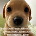 🤣 (@xuedi74779) Twitter profile photo 🤣 (@xuedi74779) Twitter profile photo