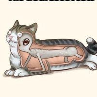 CatButt (@thomaspayne_314) 's Twitter Profile