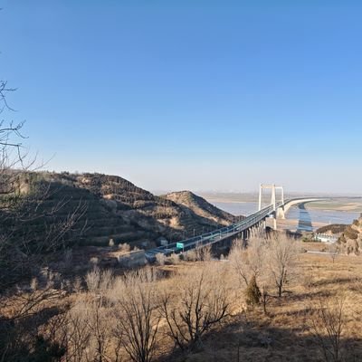 RicoFastform's profile picture. 