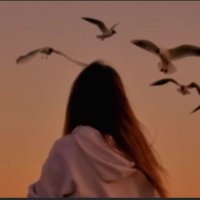 CesFLEETniSuson (@ces53847) 's Twitter Profile