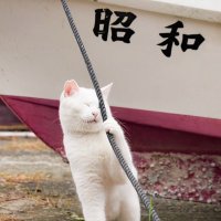 猫猫 (@rgptwwmgsb85870) 's Twitter Profile