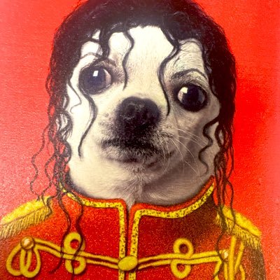 chchchia_chi's profile picture. The  🌱Chia🌱 Chihuahua.