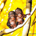 Vivian Hebert - @talkalot411 - Twitter