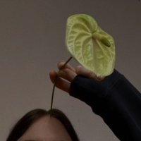 licenciada (@zierold) 's Twitter Profile