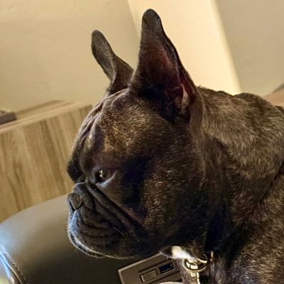evo_rc's profile picture. 