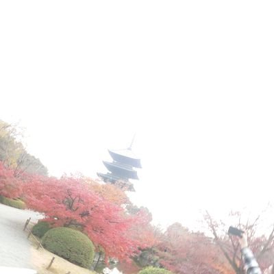 a_ct2dt8's profile picture. ゲームやアニメや特撮好きです。FGO、ウルトラマン、ゴジラ。石にも興味が出始めました。のんびり集めています。野球観戦好きです。