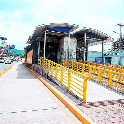 TegusOut's profile picture. 