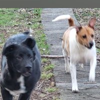 Brecon Indie Reviews M.Wood (@breconireviews) 's Twitter Profile Photo Brecon Indie Reviews M.Wood (@breconireviews) 's Twitter Profile Photo