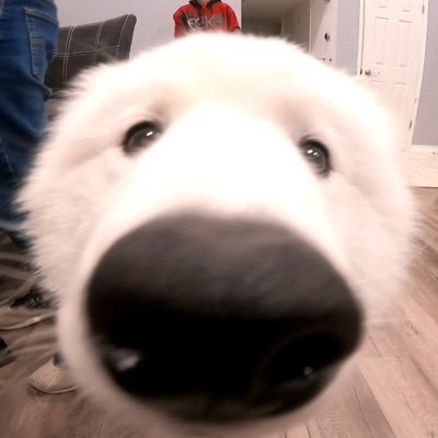 Moonc_rM's profile picture. 소심해서 바라만 봐요..🍠G