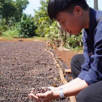 Lê Thương | Stephen Le (@stephenle329482) 's Twitter Profile