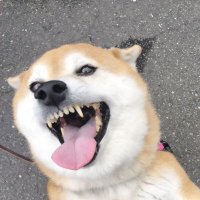ディス。 (@dis_grimm) 's Twitter Profile