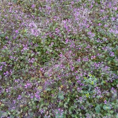 6NsJELEBDcHhyEq's profile picture. 