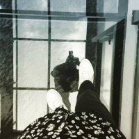 Linh Ma (@linhma4) 's Twitter Profile