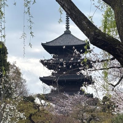 やまちか (@hakidame321) / X