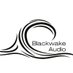 Blackwake Audio (@blackwake_audio) Twitter profile photo