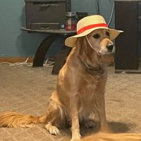 Burke (@burke10723) 's Twitter Profile Photo Burke (@burke10723) 's Twitter Profile Photo