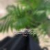 مَرِيمة أحِمدْ (@marimahmad99) Twitter profile photo مَرِيمة أحِمدْ (@marimahmad99) Twitter profile photo