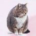 あともすs2 (@atmosuzy) Twitter profile photo あともすs2 (@atmosuzy) Twitter profile photo