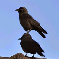 정과 (@underthe42) 's Twitter Profile Photo