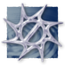 seildirectory (@seildirectory) Twitter profile photo seildirectory (@seildirectory) Twitter profile photo