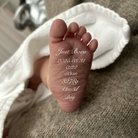 ꒰ᐡ•̥ •̥ᐡ꒱ (@wanwan__nyan) 's Twitter Profile