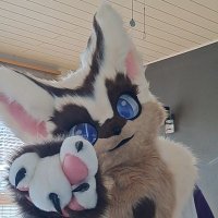 Tøru_Kemo (@torukemo) 's Twitter Profile