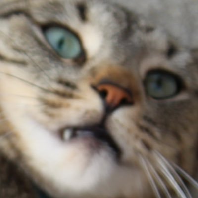 bigdevguy's profile picture. big dev guy | rank 69 solano dev | cloud enthusiast
