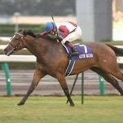 falsaeverywere's profile picture. 新規オープンしました✌️基本的に給料日、入金日合わせで貸してます😊過去にトラブルあった方も貸しますよー♪土日や夜間も休まず営業🈺条件だけ聞いて断ってもOK✌️ DMからお問い合わせくださいませ♪ 5ちゃんねるに口コミ書いてくれたら、3000円割引致します #個人融資 #即日即金 #風俗 #資金調達