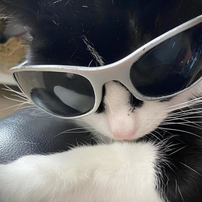 yyCrix's profile picture. this to shall pass