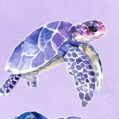 ebisennin1's profile picture. 息抜きが必要な時は水族館ぶらり、Youtubeで海外VLOGみたり