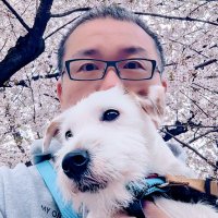 村田晴郎とぷら太 Haruo Murata & Plata (@mtharuo) 's Twitter Profile Photo